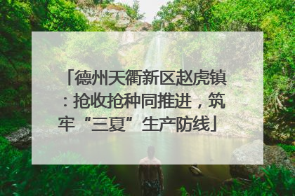德州天衢新区赵虎镇：抢收抢种同推进，筑牢“三夏”生产防线