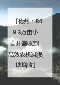 德州：849.3万亩小麦开镰收割 高效农机减损助增收