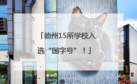 德州15所学校入选“国字号”！