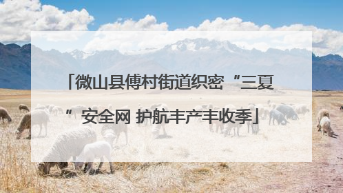 微山县傅村街道织密“三夏”安全网 护航丰产丰收季