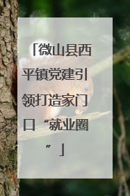 微山县西平镇党建引领打造家门口“就业圈”