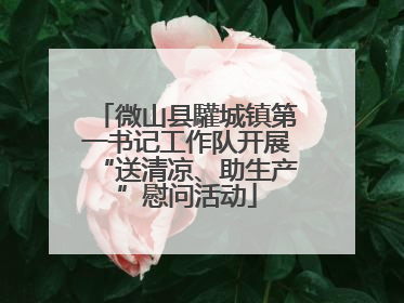 微山县驩城镇第一书记工作队开展“送清凉、助生产”慰问活动