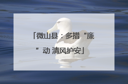 微山县：多措“廉”动 清风护安