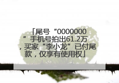 尾号“0000000”手机号拍出61.2万，买家“李小龙”已付尾款，仅享有使用权