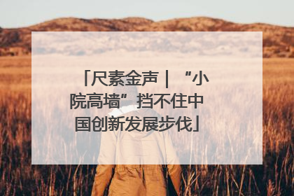 尺素金声｜“小院高墙”挡不住中国创新发展步伐