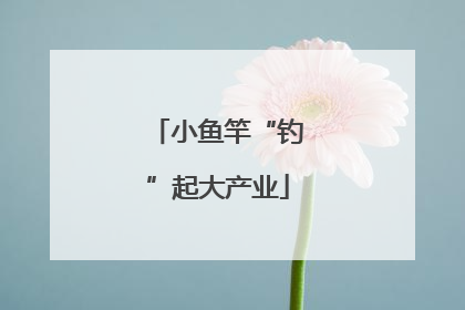 小鱼竿“钓”起大产业
