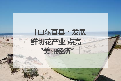 山东莒县：发展鲜切花产业 点亮“美丽经济”