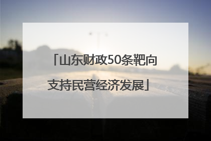 山东财政50条靶向支持民营经济发展