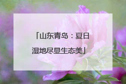山东青岛：夏日湿地尽显生态美