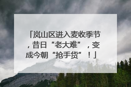 岚山区进入麦收季节，昔日“老大难”，变成今朝“抢手货”！