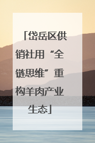 岱岳区供销社用“全链思维”重构羊肉产业生态