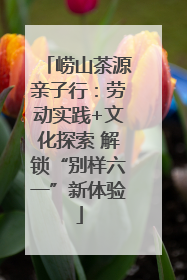 崂山茶源亲子行：劳动实践+文化探索 解锁“别样六一”新体验