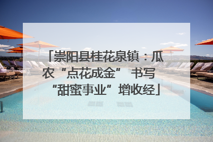 崇阳县桂花泉镇：瓜农“点花成金” 书写“甜蜜事业”增收经
