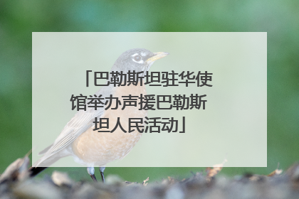 巴勒斯坦驻华使馆举办声援巴勒斯坦人民活动
