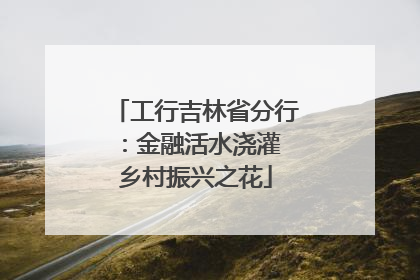 工行吉林省分行：金融活水浇灌 乡村振兴之花