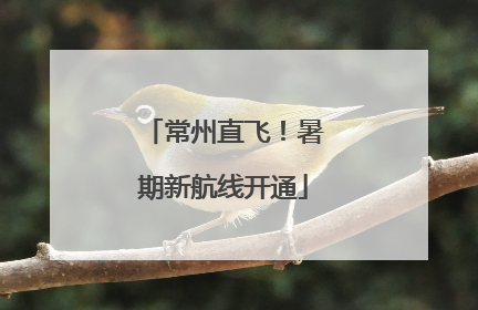 常州直飞！暑期新航线开通