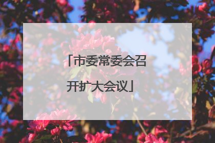 市委常委会召开扩大会议