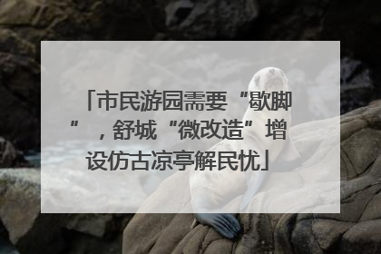 市民游园需要“歇脚”，舒城“微改造”增设仿古凉亭解民忧