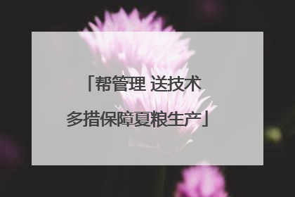 帮管理 送技术 多措保障夏粮生产