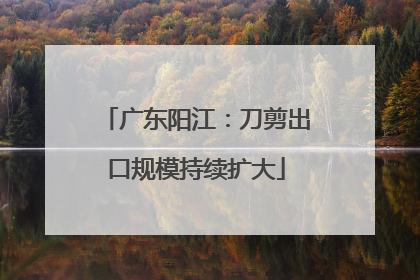广东阳江：刀剪出口规模持续扩大