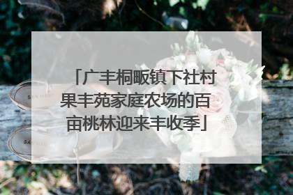 广丰桐畈镇下社村果丰苑家庭农场的百亩桃林迎来丰收季