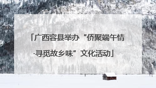 广西容县举办“侨聚端午情·寻觅故乡味”文化活动