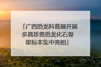 广西恐龙科普展开展 多具珍贵恐龙化石骨架标本集中亮相