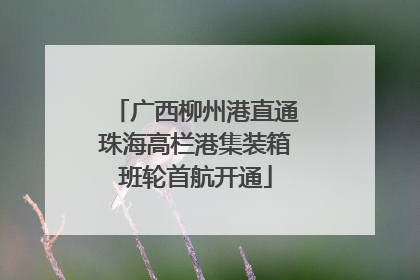 广西柳州港直通珠海高栏港集装箱班轮首航开通