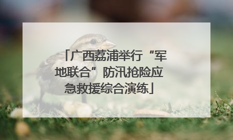 广西荔浦举行“军地联合”防汛抢险应急救援综合演练