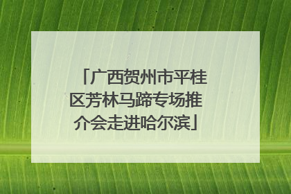 广西贺州市平桂区芳林马蹄专场推介会走进哈尔滨