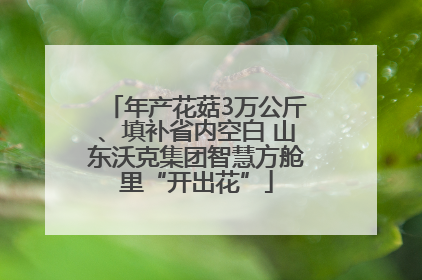 年产花菇3万公斤、填补省内空白 山东沃克集团智慧方舱里“开出花”