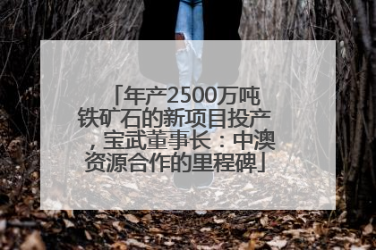 年产2500万吨铁矿石的新项目投产，宝武董事长：中澳资源合作的里程碑