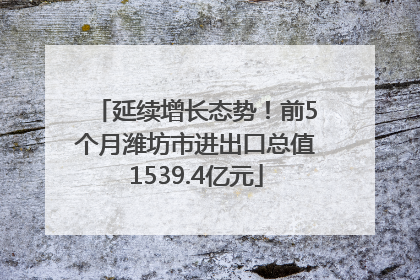 延续增长态势！前5个月潍坊市进出口总值1539.4亿元