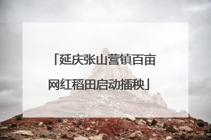 延庆张山营镇百亩网红稻田启动插秧