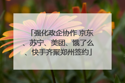 强化政企协作 京东、苏宁、美团、饿了么、快手齐聚郑州签约
