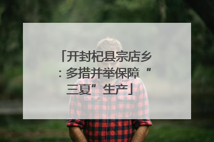 开封杞县宗店乡：多措并举保障“三夏”生产