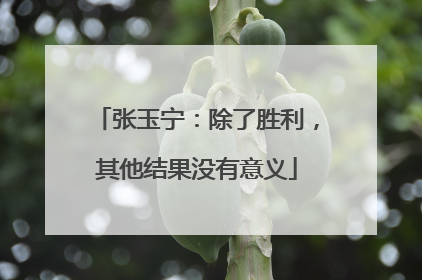 张玉宁：除了胜利，其他结果没有意义