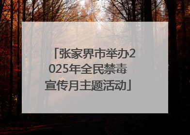 张家界市举办2025年全民禁毒宣传月主题活动