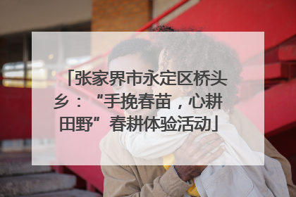 张家界市永定区桥头乡：“手挽春苗，心耕田野”春耕体验活动