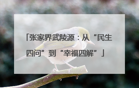 张家界武陵源：从“民生四问”到“幸福四解”