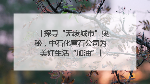 探寻“无废城市”奥秘，中石化黄石公司为美好生活“加油”