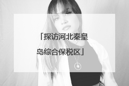 探访河北秦皇岛综合保税区
