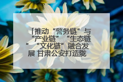 推动“警务链”与“产业链”“生态链”“文化链”融合发展 甘肃公安打造陇原旅游警务品牌