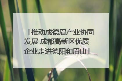 推动成德眉产业协同发展 成都高新区优质企业走进德阳和眉山