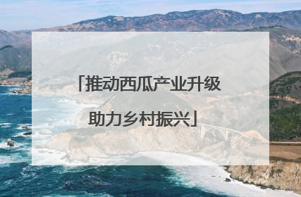 推动西瓜产业升级 助力乡村振兴