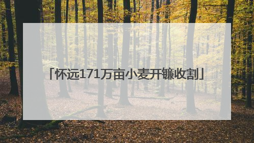 怀远171万亩小麦开镰收割