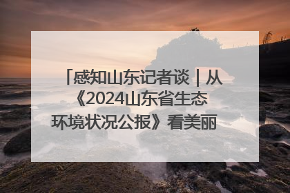感知山东记者谈｜从《2024山东省生态环境状况公报》看美丽山东建设的“成绩单”与“任务书”
