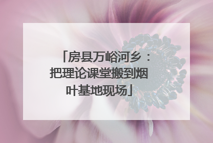 房县万峪河乡：把理论课堂搬到烟叶基地现场