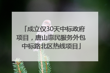 成立仅30天中标政府项目，唐山惠民服务外包中标路北区热线项目