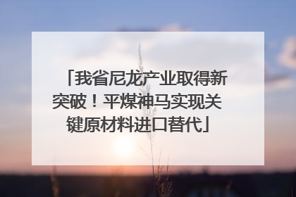 我省尼龙产业取得新突破！平煤神马实现关键原材料进口替代